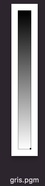 ../../_images/degrade_gris.png